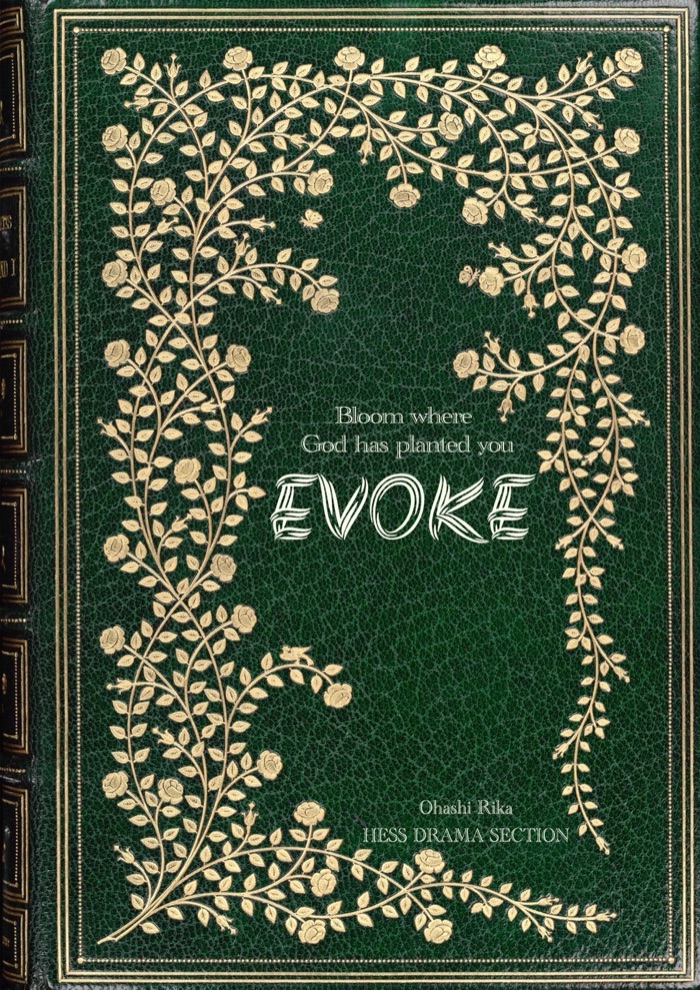 EVOKE pamphlet